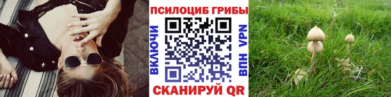 Галлюциногенные грибы GOLDEN TEACHER  Лагань 